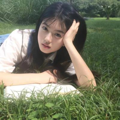 缉拿杨枪枪